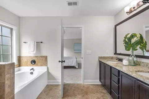 Entry Way - 357 Bent Oak Dr, Chapin, SC 29036 photo 6 of 7