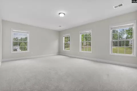 Bedroom - 357 Bent Oak Dr, Chapin, SC 29036 photo 7 of 8