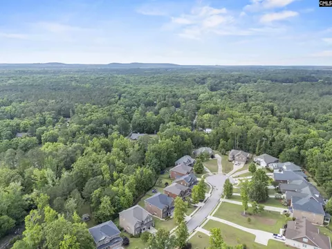 View/Area - 357 Bent Oak Dr, Chapin, SC 29036 photo 9 of 15