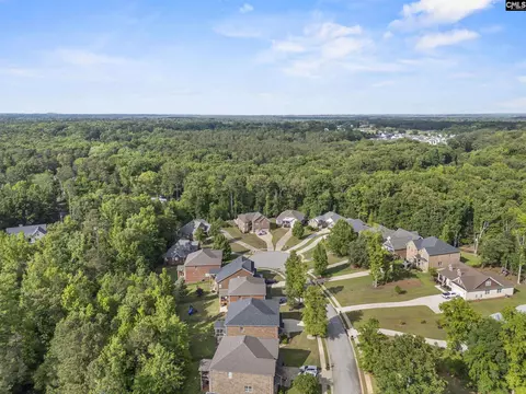 View/Area - 357 Bent Oak Dr, Chapin, SC 29036 photo 12 of 15