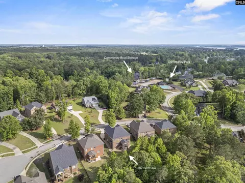 View/Area - 357 Bent Oak Dr, Chapin, SC 29036 photo 3 of 15