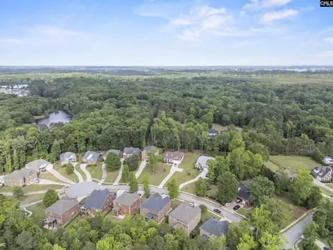 View/Area - 357 Bent Oak Dr, Chapin, SC 29036 photo 13 of 15