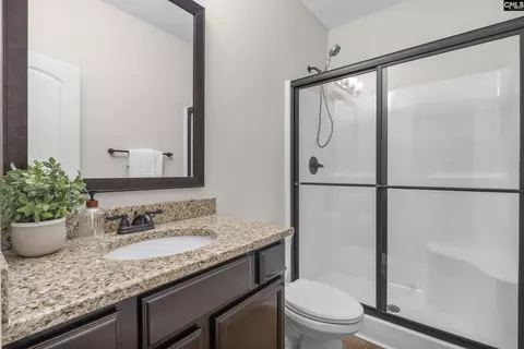 Bath - 357 Bent Oak Dr, Chapin, SC 29036 photo 1 of 5