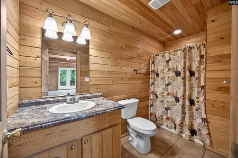 Bath - 115 Rocky Meadow Dr, Gilbert, SC 29054 photo 3 of 3