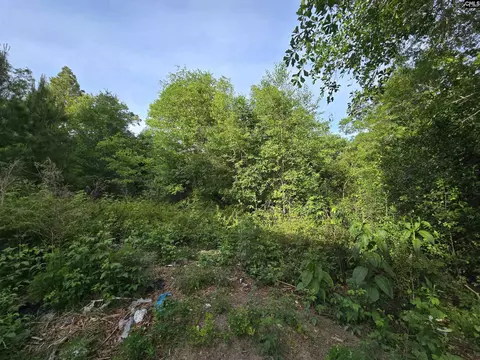 Other - 2808 Old Charleston Rd, Gilbert, SC 29054 photo 19 of 19
