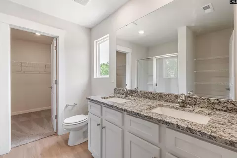 Bath - 2117 Duck Lettuce Ct, Gilbert, SC 29054 photo 1 of 3