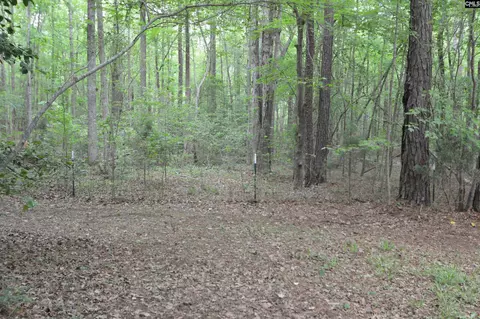 388 Sessions Rd, Elgin, SC 29045 photo 55
