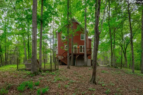 Exterior - 151 Eagle Chase Ct, Chapin, SC 29036 photo 15 of 21