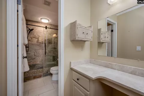 Bath - 151 Eagle Chase Ct, Chapin, SC 29036 photo 2 of 9