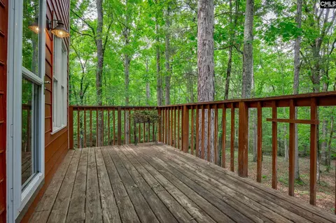 Exterior - 151 Eagle Chase Ct, Chapin, SC 29036 photo 13 of 21