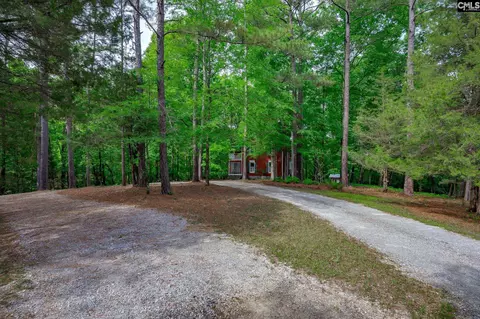 Exterior - 151 Eagle Chase Ct, Chapin, SC 29036 photo 7 of 21