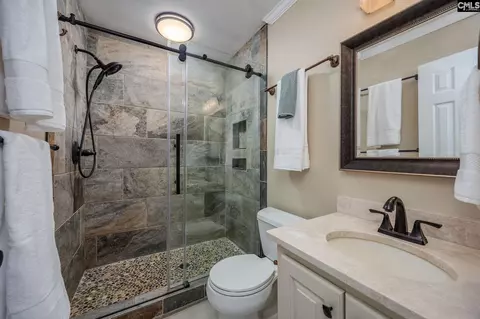 Bath - 151 Eagle Chase Ct, Chapin, SC 29036 photo 3 of 9
