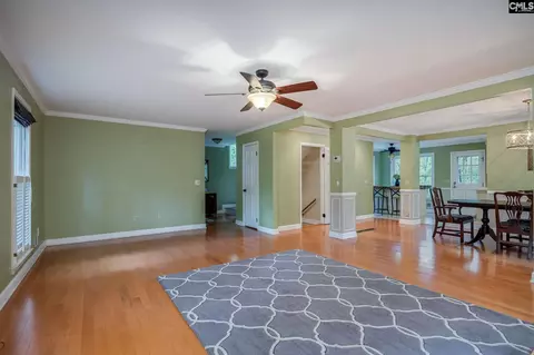 Living - 151 Eagle Chase Ct, Chapin, SC 29036 photo 4 of 8