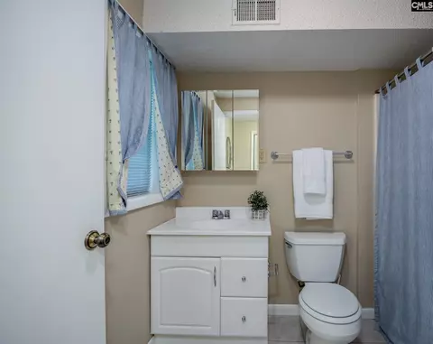 Bath - 151 Eagle Chase Ct, Chapin, SC 29036 photo 7 of 9