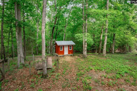 Exterior - 151 Eagle Chase Ct, Chapin, SC 29036 photo 20 of 21