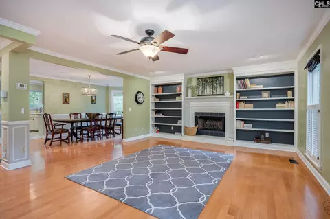 Living - 151 Eagle Chase Ct, Chapin, SC 29036 photo 2 of 8