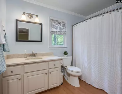 Bath - 151 Eagle Chase Ct, Chapin, SC 29036 photo 6 of 9