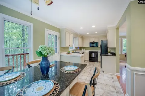 Other - 151 Eagle Chase Ct, Chapin, SC 29036 photo 4 of 8