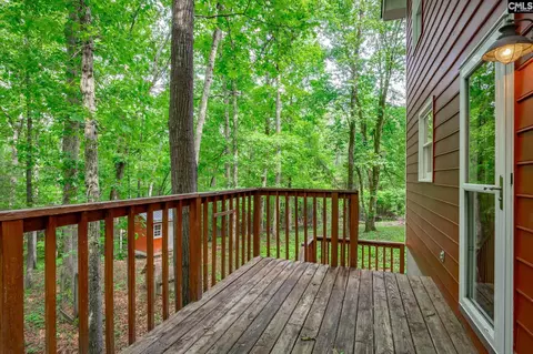 Exterior - 151 Eagle Chase Ct, Chapin, SC 29036 photo 14 of 21