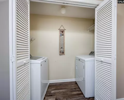 Other - 151 Eagle Chase Ct, Chapin, SC 29036 photo 8 of 8