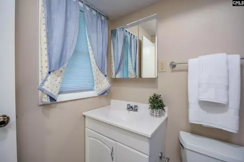 Bath - 151 Eagle Chase Ct, Chapin, SC 29036 photo 8 of 9