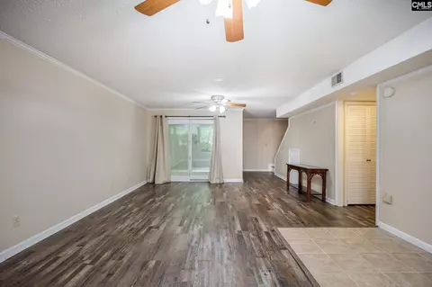 Living - 151 Eagle Chase Ct, Chapin, SC 29036 photo 5 of 8