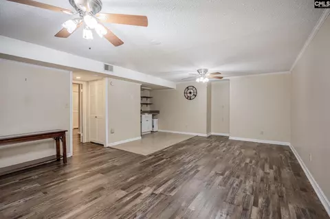 Living - 151 Eagle Chase Ct, Chapin, SC 29036 photo 7 of 8