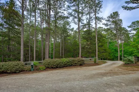Exterior - 151 Eagle Chase Ct, Chapin, SC 29036 photo 21 of 21
