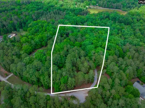 View/Area - 151 Eagle Chase Ct, Chapin, SC 29036 photo 1 of 7
