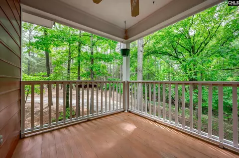 Exterior - 151 Eagle Chase Ct, Chapin, SC 29036 photo 8 of 21