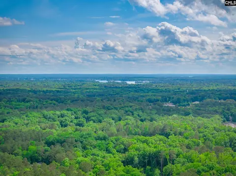 View/Area - 151 Eagle Chase Ct, Chapin, SC 29036 photo 6 of 7