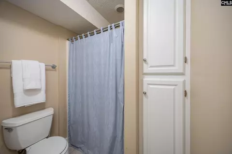Bath - 151 Eagle Chase Ct, Chapin, SC 29036 photo 9 of 9