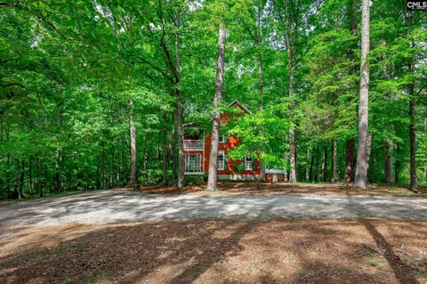 Exterior - 151 Eagle Chase Ct, Chapin, SC 29036 photo 5 of 21