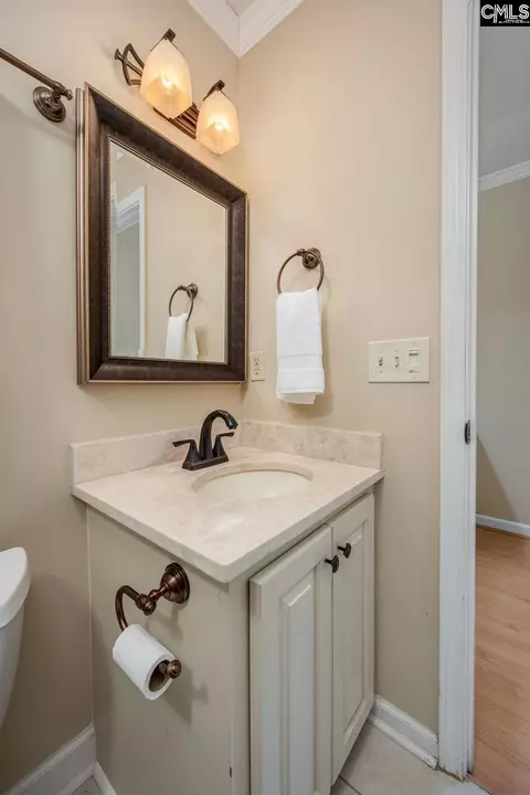 Bath - 151 Eagle Chase Ct, Chapin, SC 29036 photo 4 of 9