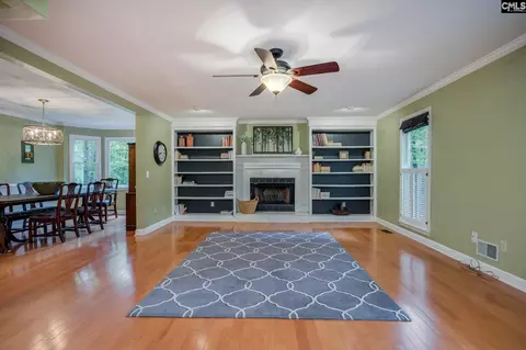 Living - 151 Eagle Chase Ct, Chapin, SC 29036 photo 1 of 8