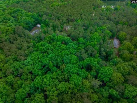 Other - 151 Eagle Chase Ct, Chapin, SC 29036 photo 2 of 8