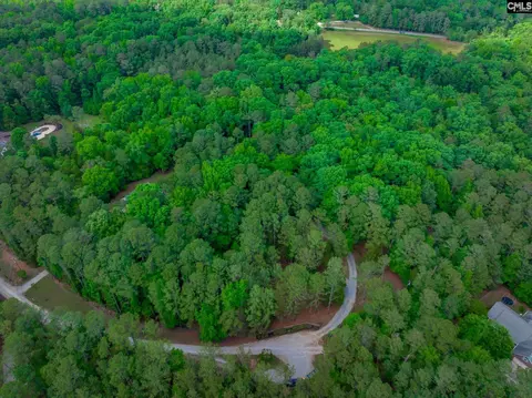 View/Area - 151 Eagle Chase Ct, Chapin, SC 29036 photo 2 of 7