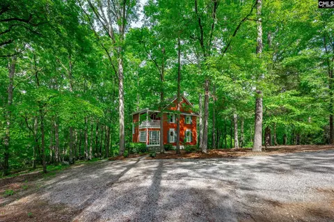 Exterior - 151 Eagle Chase Ct, Chapin, SC 29036 photo 4 of 21