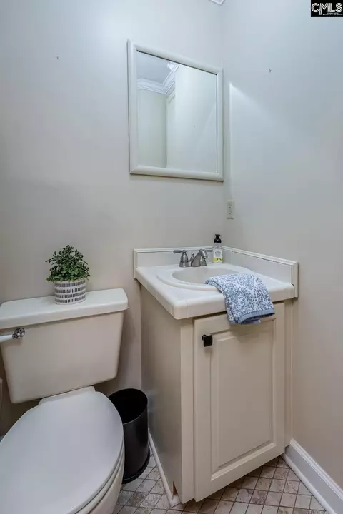 Bath - 151 Eagle Chase Ct, Chapin, SC 29036 photo 1 of 9