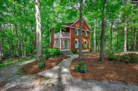 Exterior - 151 Eagle Chase Ct, Chapin, SC 29036 photo 1 of 21