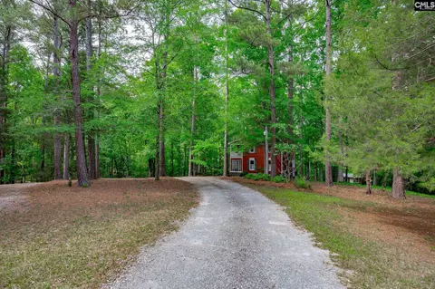 Exterior - 151 Eagle Chase Ct, Chapin, SC 29036 photo 6 of 21