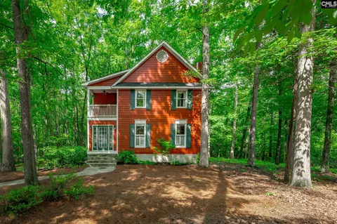Exterior - 151 Eagle Chase Ct, Chapin, SC 29036 photo 3 of 21
