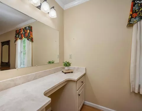 Bath - 151 Eagle Chase Ct, Chapin, SC 29036 photo 5 of 9