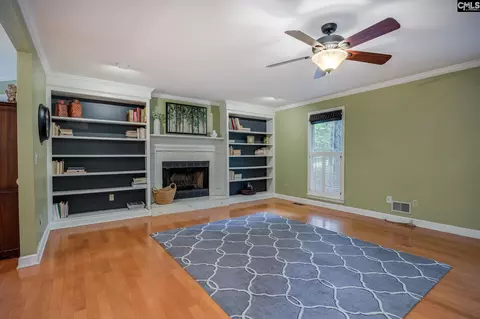 Living - 151 Eagle Chase Ct, Chapin, SC 29036 photo 3 of 8