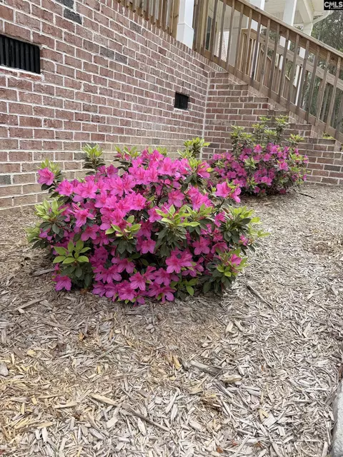 3839 Two Notch Rd, Gilbert, SC 29054 photo 73