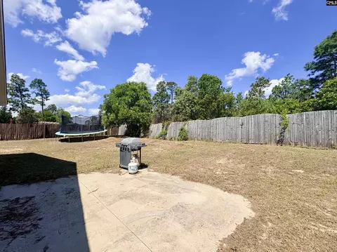 Exterior - 290 Baneberry Loop, Lexington, SC 29073 photo 5 of 7
