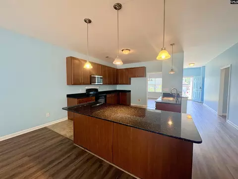 Kitchen - 290 Baneberry Loop, Lexington, SC 29073 photo 4 of 4
