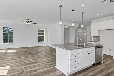 Other - 517 Frosty Ln, Lexington, SC 29072 photo 4 of 9