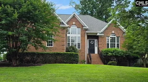 413 Oxenbridge Way, Chapin, SC 29036