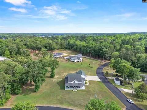 View/Area - 119 Saluda Waters Rd, Leesville, SC 29070 photo 3 of 9
